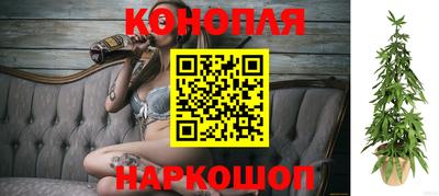 ECSTASY Кузнецк